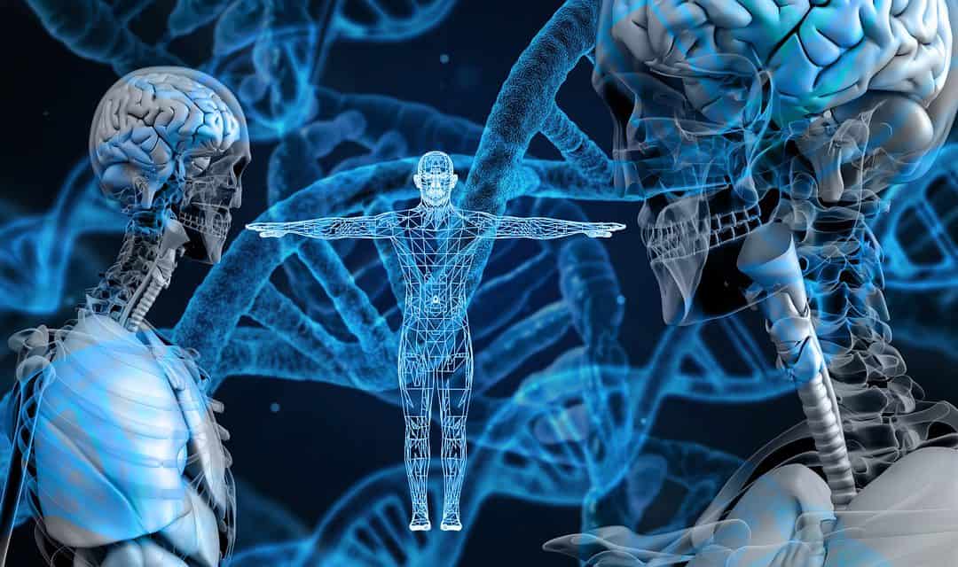 2018: Integrated Applied Genetics Training – AppGENEdu