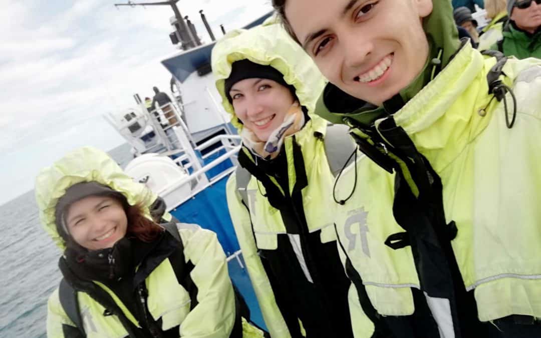 2017: The EEA Mobility Project of the Polytechnic University of Bucharest